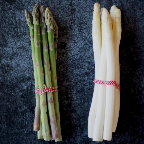 asperges-High-Quality_1