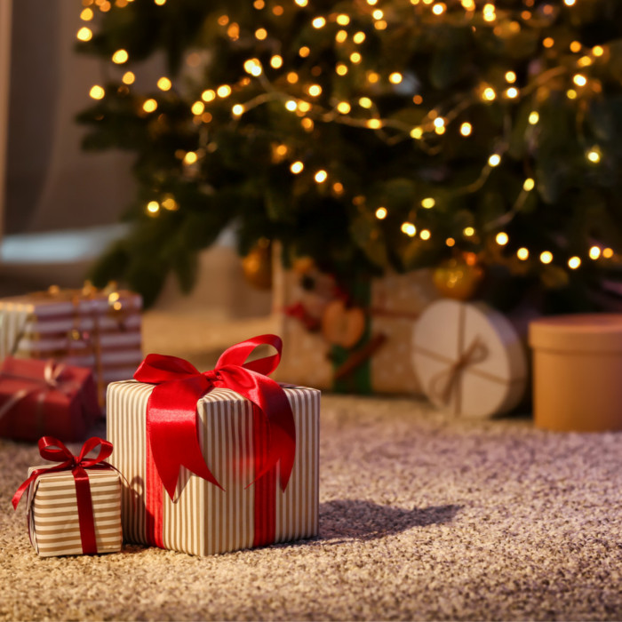Feestdagen_cadeau-High-Quality