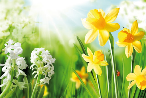 Zin in het voorjaar! Zin in het voorjaar!