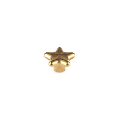 LE CREUSET - Santa's Specials - Knop RVS ster 5,7cm Goud