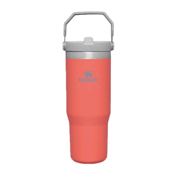 STANLEY - The Iceflow - Flip Straw tumbler 0,89l Guava