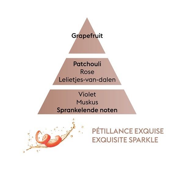 LAMPE BERGER - Parfums - Parfum 0,50l Exquisite Sparkle