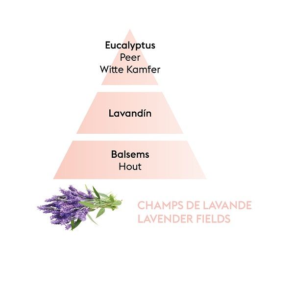 LAMPE BERGER - Parfum Berger - Navulling 0,20l Lavender Fields