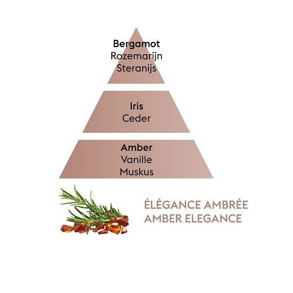 LAMPE BERGER - Parfums - Parfum 0,5L Amber Elegance