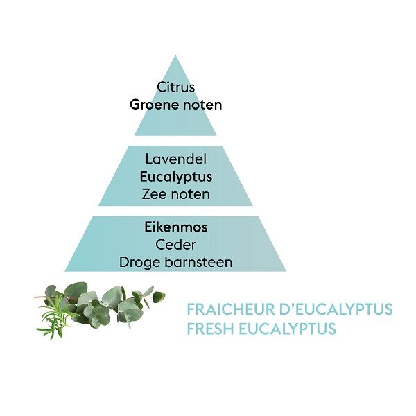 LAMPE BERGER - Parfum Berger - Navulling 0,20l Fresh Eucalyptus