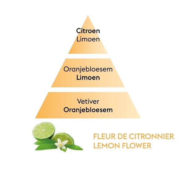 LAMPE BERGER - Parfums - Parfum 0,50l Lemon flower