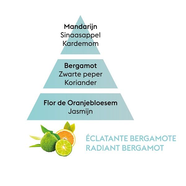 LAMPE BERGER - Parfums - Parfum 0,5L Radiant Bergamot