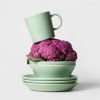 IITTALA - Teema Sage - Schaal 15cm