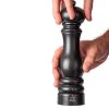 PEUGEOT - Paris - Zoutmolen 22cm Satin Black U-select Zirlion