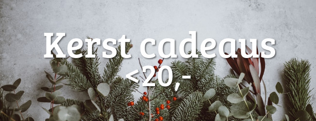 kerst-banner-20-High-Quality