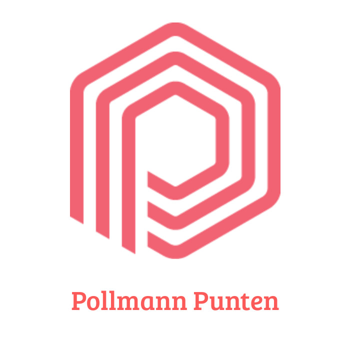 Pollmann_punten_afbeelding-High-Quality_1_